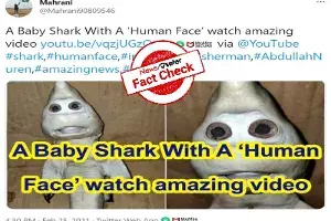 Fact Check: True, baby shark was born with human face in Indonesia Fact Check: True, baby shark was born with human face in Indonesia