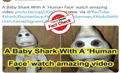 Fact Check: True, baby shark was born with human face in Indonesia