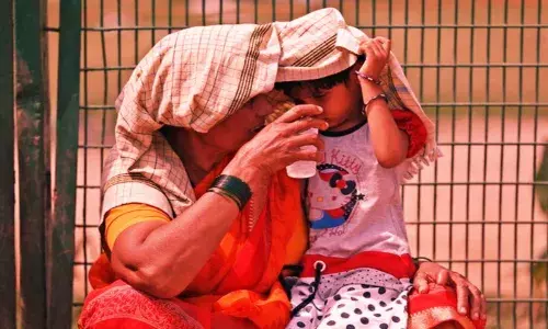 Telangana hotbed for heatwaves, reports 1,952 heatstroke deaths from 2008-20