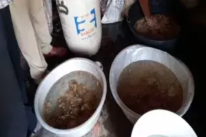 Tragedy averted, 42 crude bombs seized in Srikakulam Tragedy averted, 42 crude bombs seized in Srikakulam
