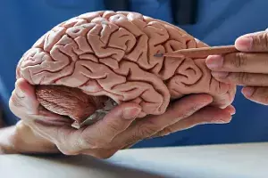 IIT Madras find energy deficiency in some brain cells a major cause for Parkinsons IIT Madras find energy deficiency in some brain cells a major cause for Parkinsons