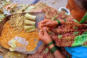 Over 4L women employed in Hyderabads beedi making industry: Centre Over 4L women employed in Hyderabads beedi making industry: Centre