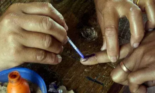 MLC Elections: How to cast the vote