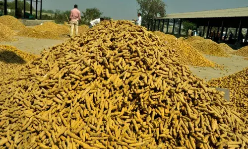 Centre says no proposal to set up Turmeric Board in Nizamabad