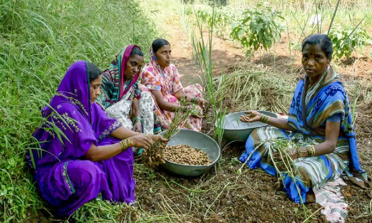 Anantapur groundnut farmers suffer double whammy in pandemic: Study