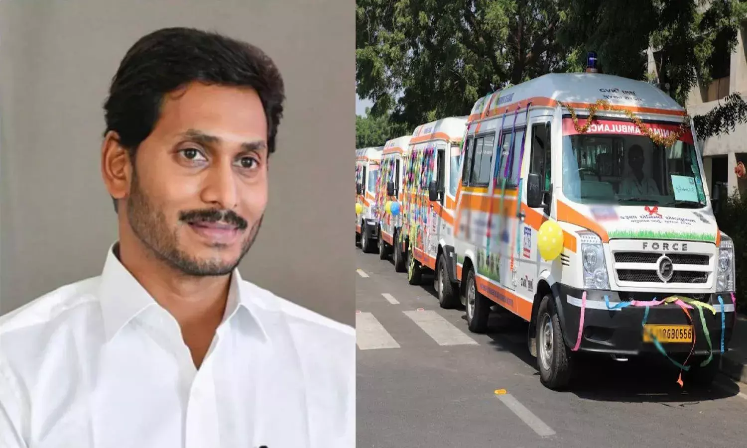 AP to set up 108 ambulance-type mobile clinics for animals