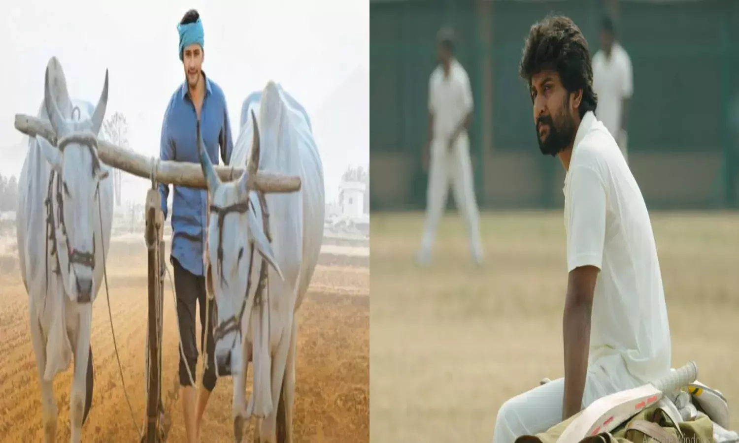 Jersey, Maharshi win big at 67th National Film Awards
