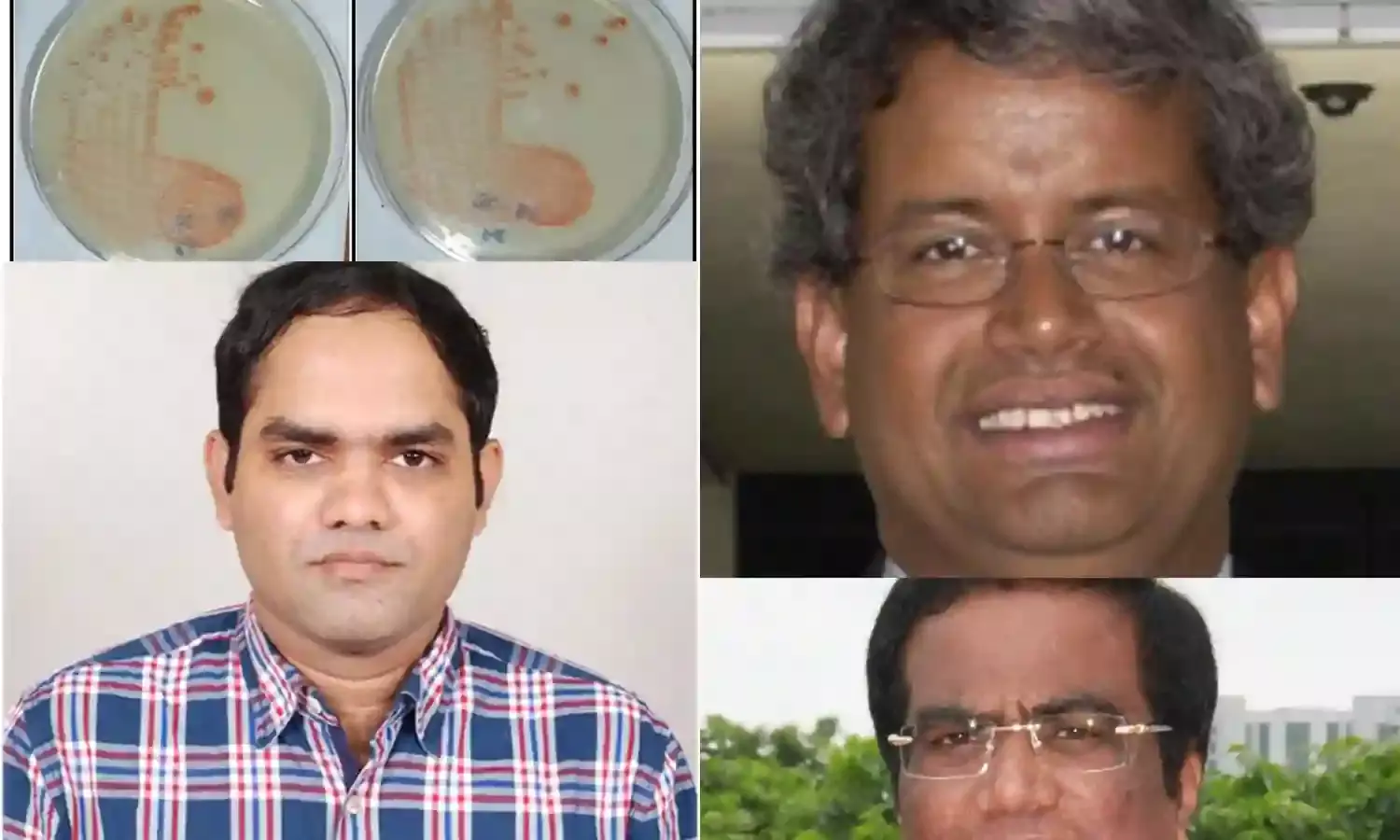 HCU, Nasa researchers discover new bacteria that could make space farming reality