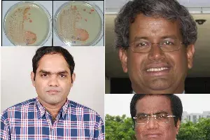 HCU, Nasa researchers discover new bacteria that could make space farming reality HCU, Nasa researchers discover new bacteria that could make space farming reality