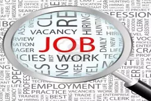 Telangana govt opens position for 174 assistant public prosecutors Telangana govt opens position for 174 assistant public prosecutors