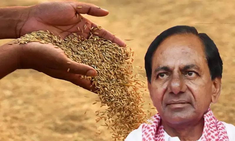 Telangana to procures paddy from 6,408 village centres at MSP