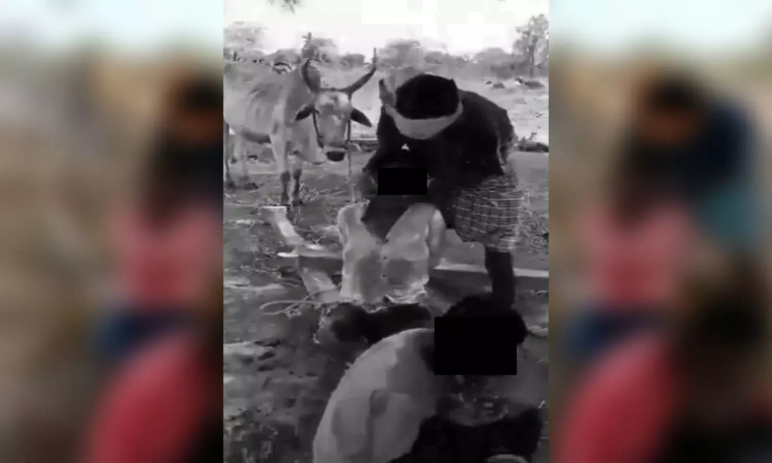 Mahabubabad shocker: Orchard guards force minors to eat cow dung, arrested