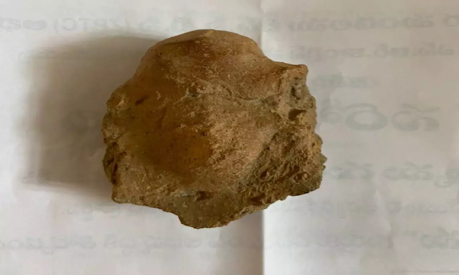 Terracotta Ganesha sculpture from 2nd century Satavahana period found in Anantapur