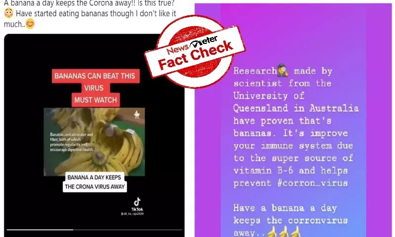 bananas cure COVID-19