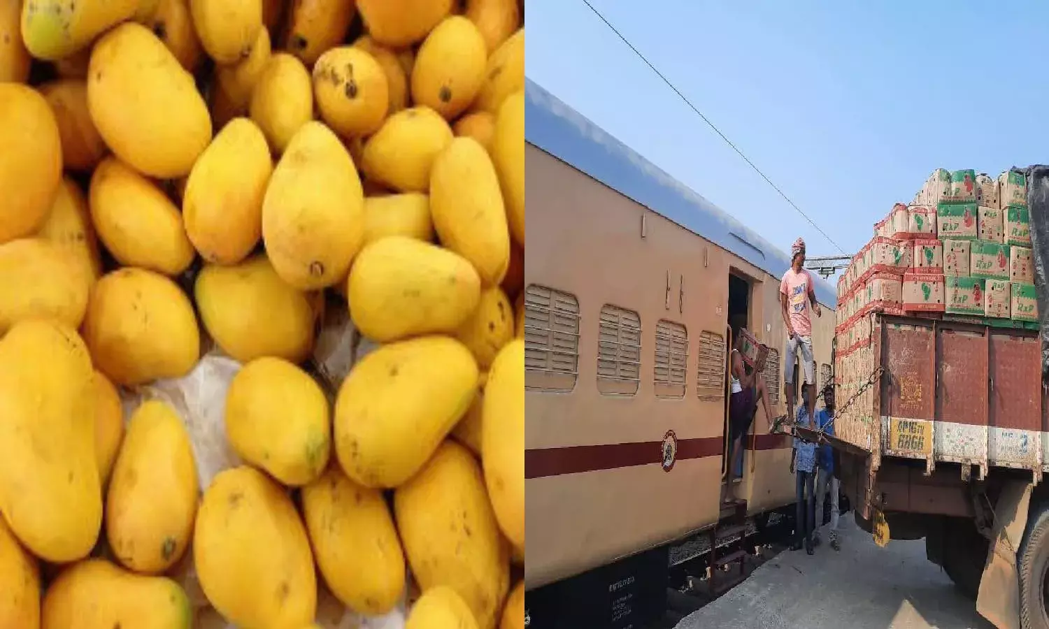Operation Green: Relish Nuzvid Mangos in Delhi, Centre flags off `Kisan Rail