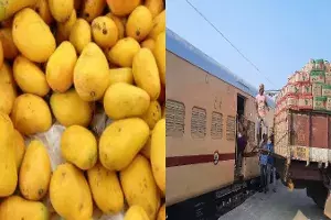 Operation Green: Relish Nuzvid Mangos in Delhi, Centre flags off `Kisan Rail Operation Green: Relish Nuzvid Mangos in Delhi, Centre flags off `Kisan Rail