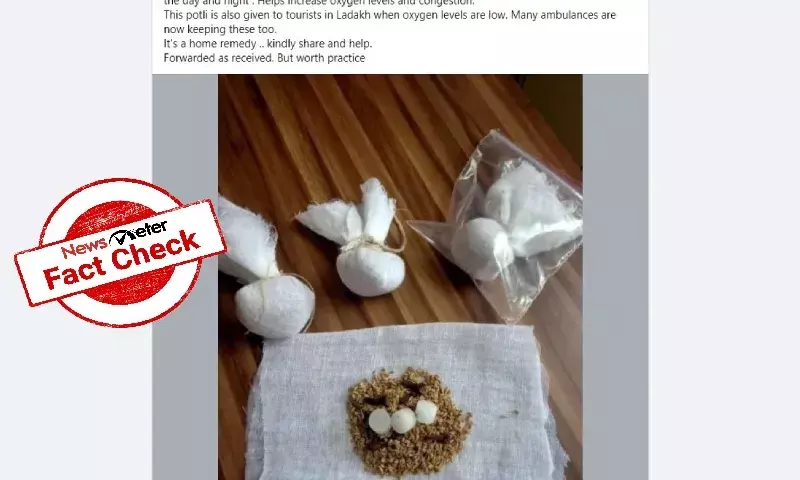 Camphor, Lavang, covid