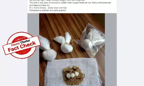 Camphor, Lavang, covid