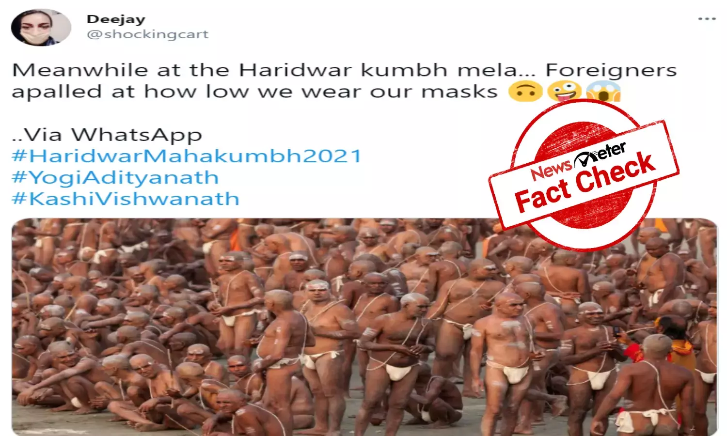 sadhus loincloths, Maha Kumbh Mela