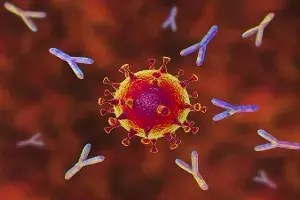 Is coronavirus learning the `antibody escape trick? Is coronavirus learning the `antibody escape trick?