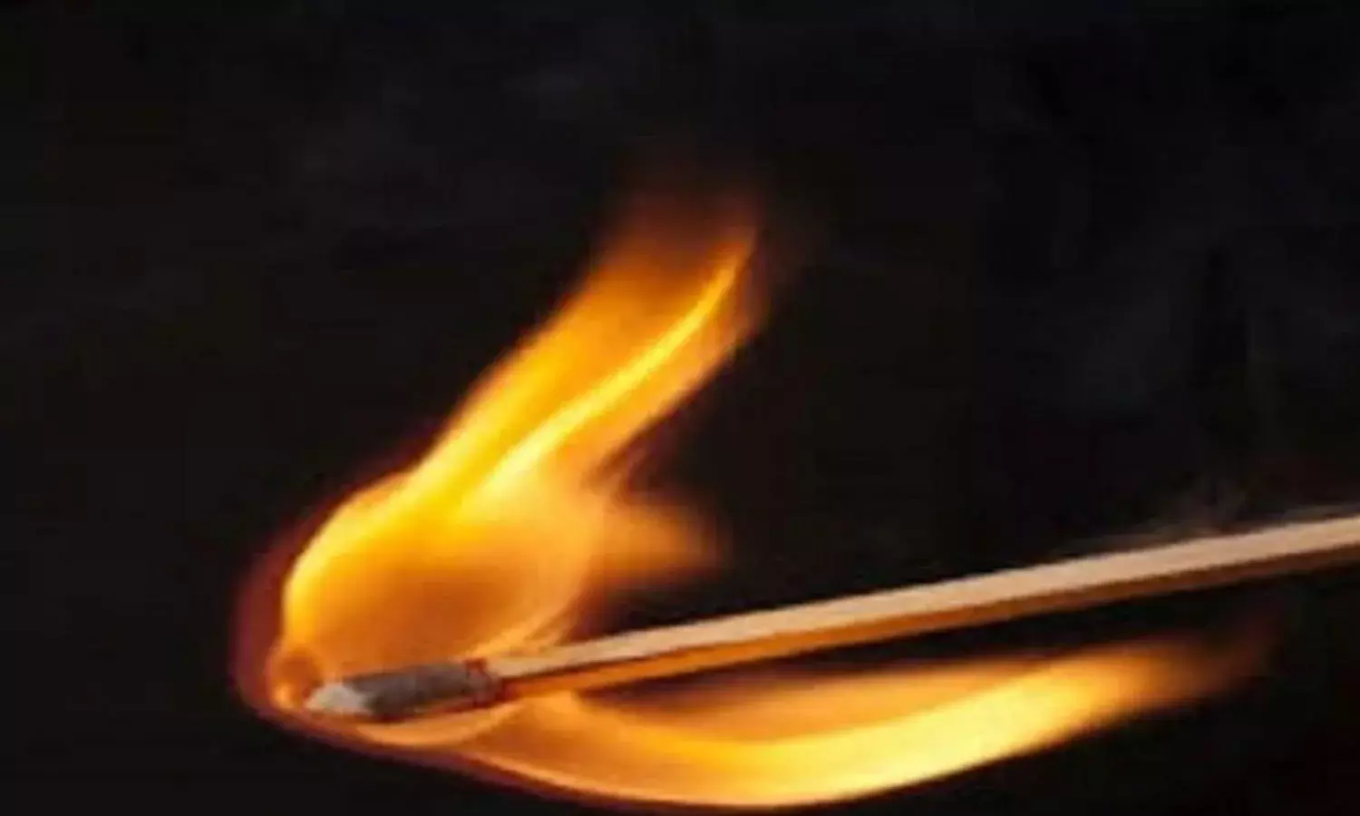 Nellore Immolation, crime