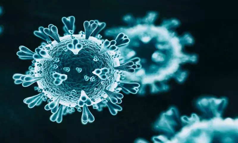 SARS-CoV is more severe than SARS-CoV-2; NL63 shows milder symptoms: reveals IIT Madras study