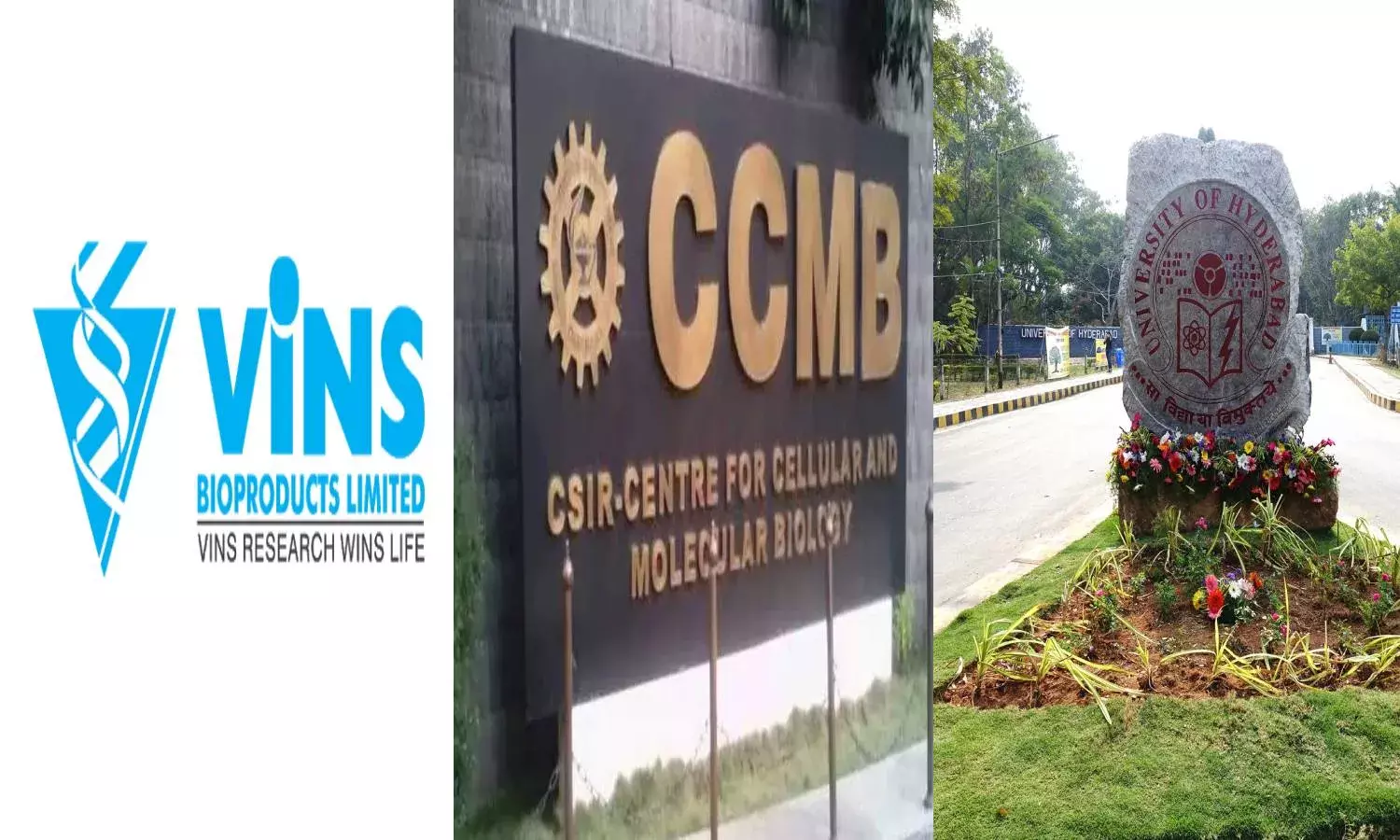 Hyd-based firm gets DGCI nod to start clinical trials for its COVID-19 antidote VINCOV-19