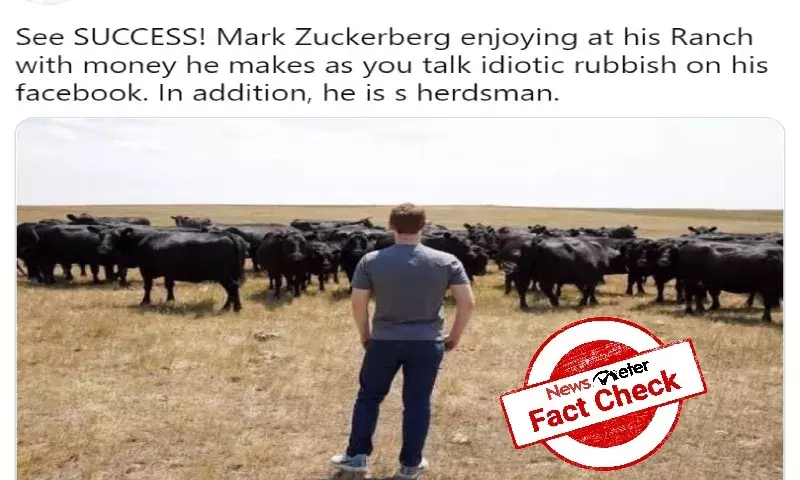 Sorry, Mark Zuckerberg is not herdsman; he owns Facebook