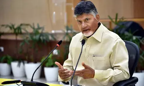 Chandrababu Naidu booked for wrong reporting on N440K COVID variant