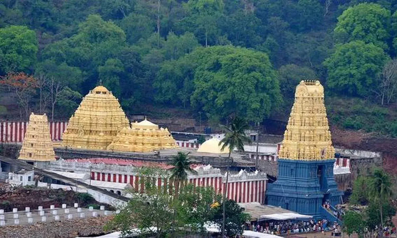 COVID 19 casts shadow over Chandanotsavam; Simhachalam temple restricts festivities