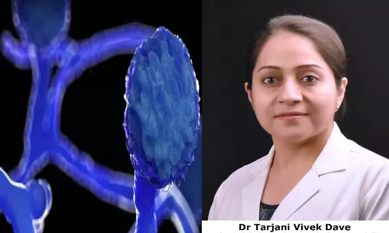 Why this sudden spike in black fungus cases in COVID second wave?