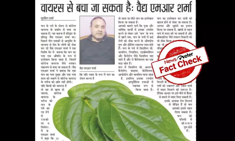 Fact Check: Betel leaves do not cure or prevent COVID-19