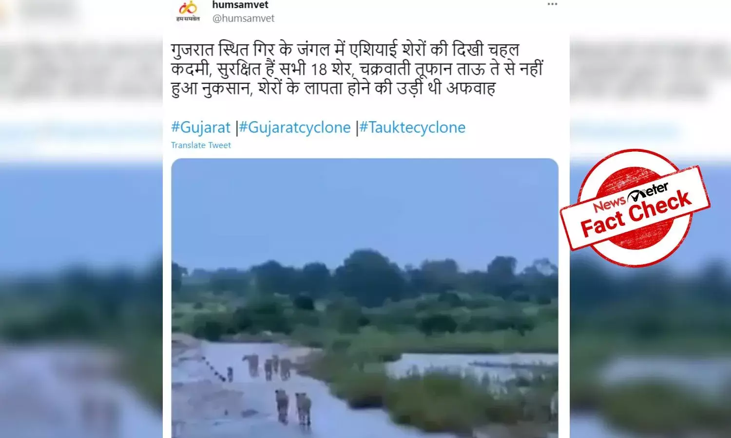 Fact Check: Video showing Gujarats Gir lions after cyclone Tauktae is from South Africa