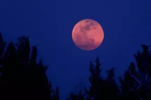 `Blood moon: Total lunar eclipse on Wednesday; will be visible in north-east India `Blood moon: Total lunar eclipse on Wednesday; will be visible in north-east India