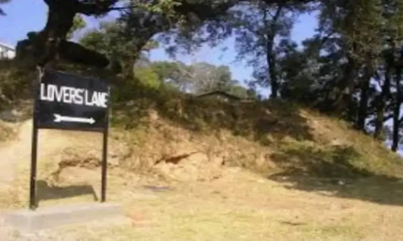 Every soil is different