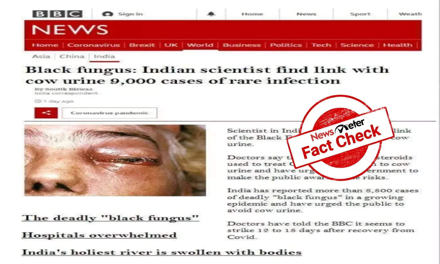 FACT CHECK: BBC article on black fungus, cow urine is morphed