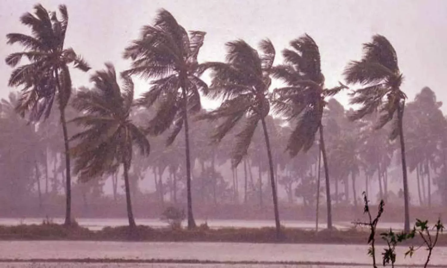 Orange alert for Telangana: Thunderstorms with gusty winds for 5 days