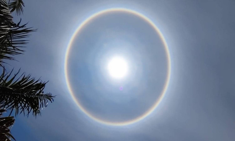 Weather blog: Did you see the sun halo?