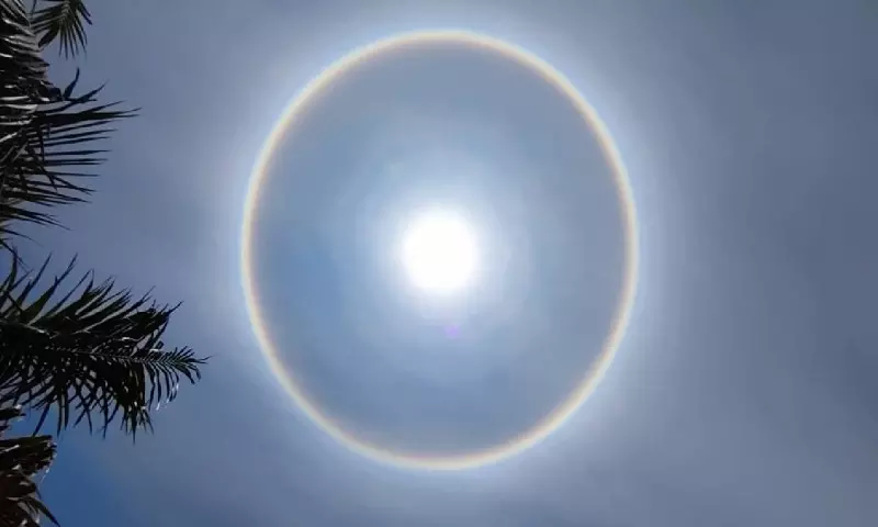 Halo 2021 sun Stunning sun