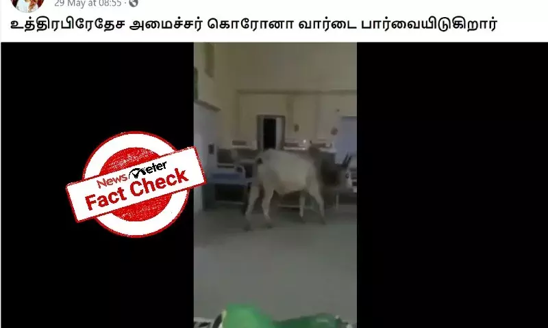 Video of cow walking in hospital ward is from Kenya, not UP