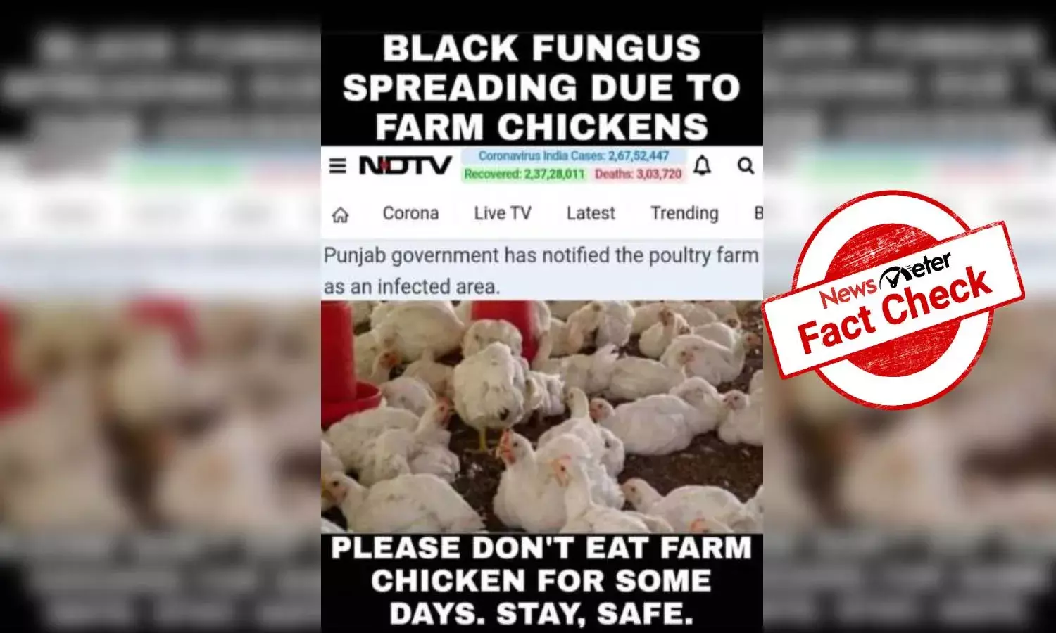 Fact Check: Claim about black fungus spreading through poultry is misleading