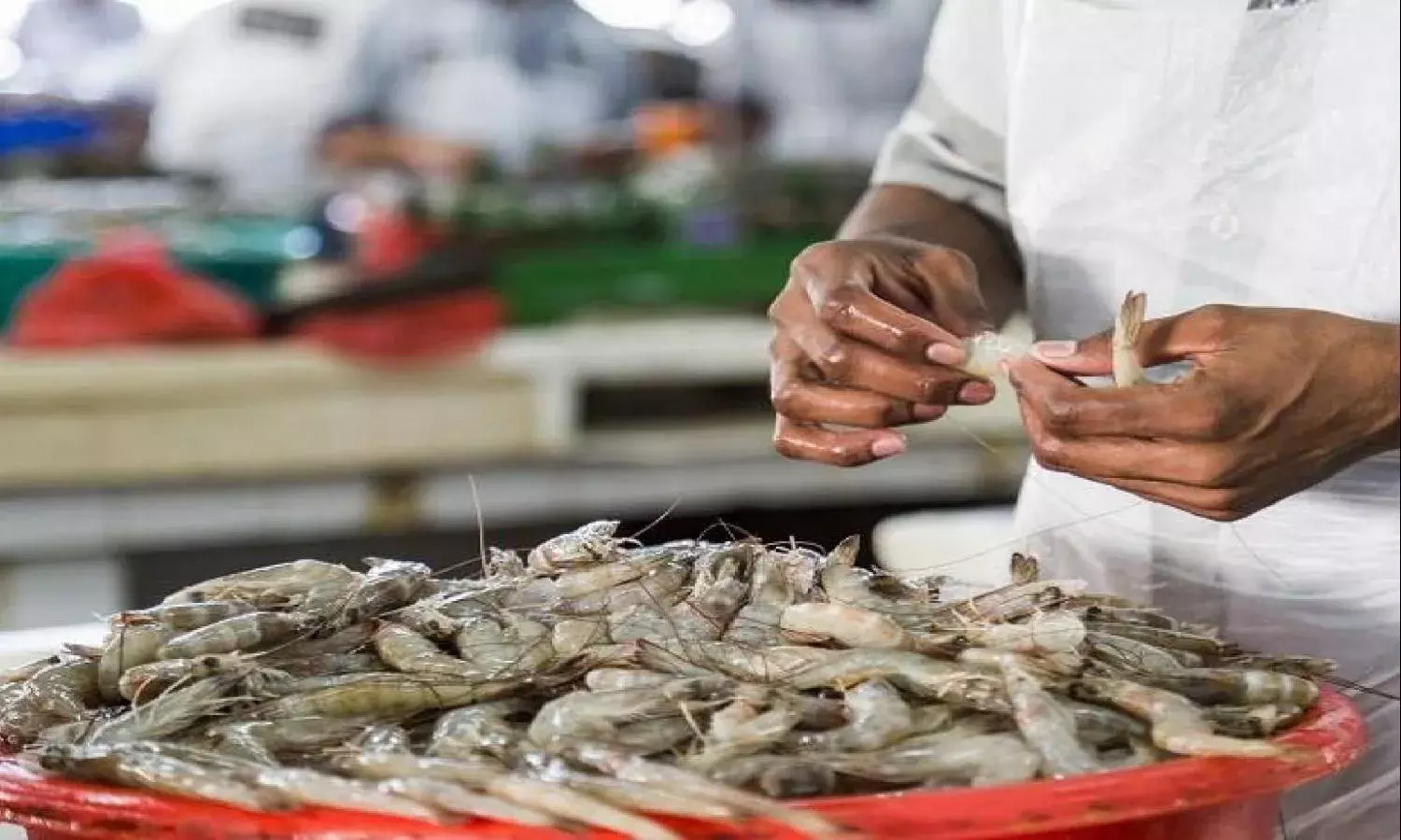 `Blame it on the fish: Indias seafood exports drop by 10.88%, thanks to COVID