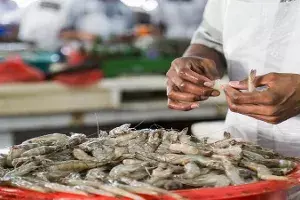 `Blame it on the fish: Indias seafood exports drop by 10.88%, thanks to COVID `Blame it on the fish: Indias seafood exports drop by 10.88%, thanks to COVID