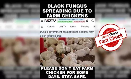Fact Check: Claim about black fungus spreading through poultry is misleading