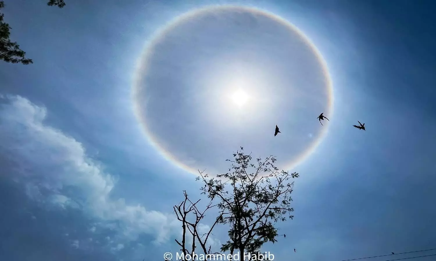 Sun's halo dazzles us and means a storm is approaching