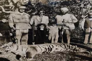 Timmy and the man eater Tigress Timmy and the man eater Tigress