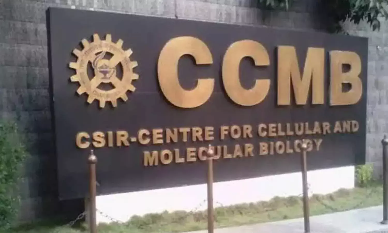 Consortium led by CSIR-CCMB to enhance covid-19 genome surveillance