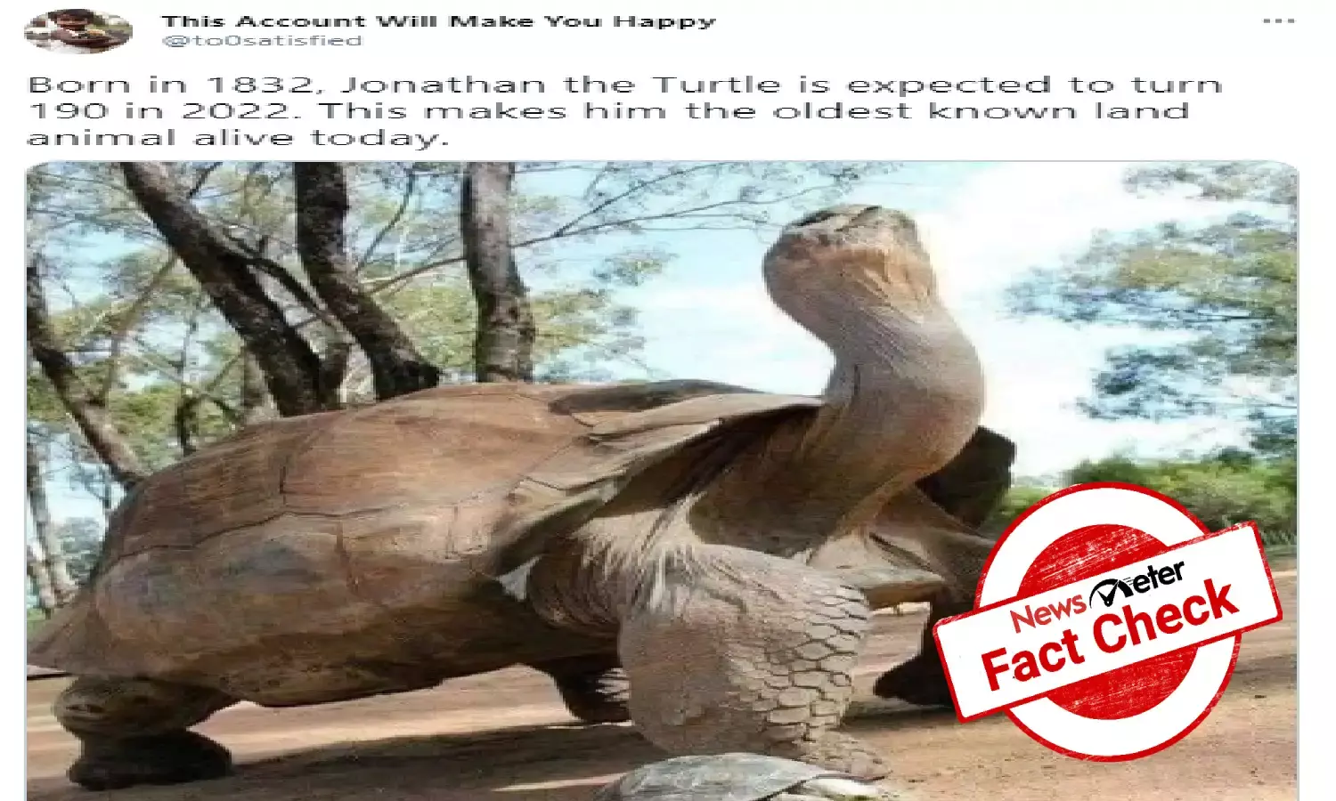189-year-old tortoise