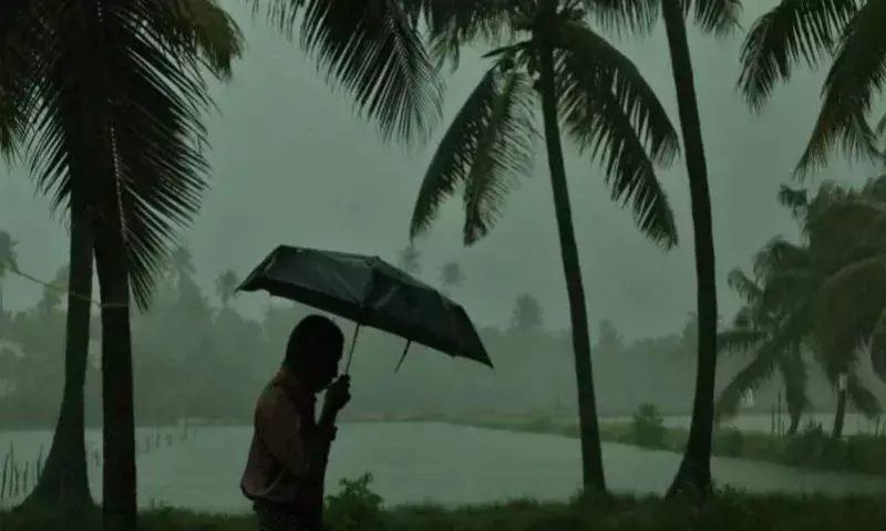 `Plentiful showers: Telangana receives 106% above normal rainfall until 16th June