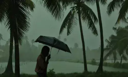 `Plentiful showers: Telangana receives 106% above normal rainfall until 16th June